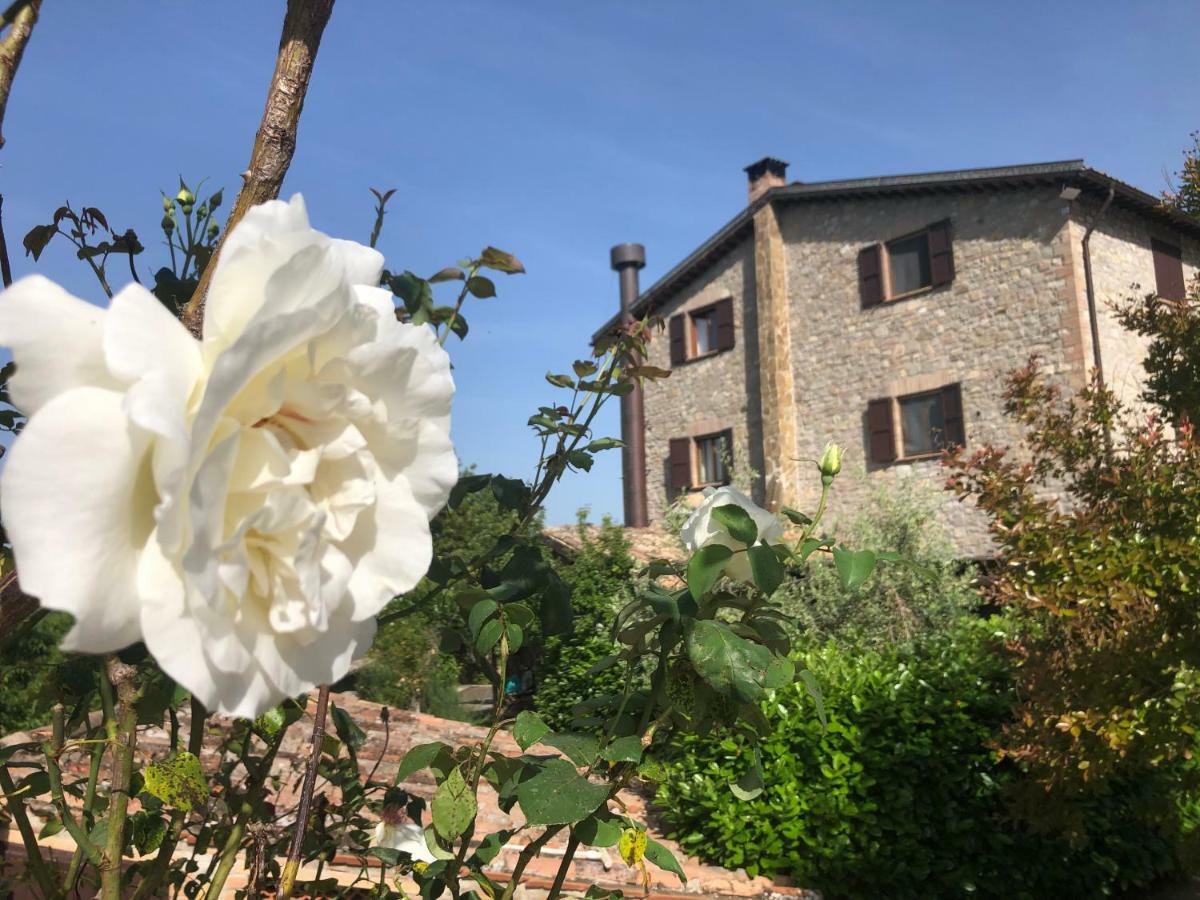 Agriturismo Beata Vanna Fabro Luaran gambar