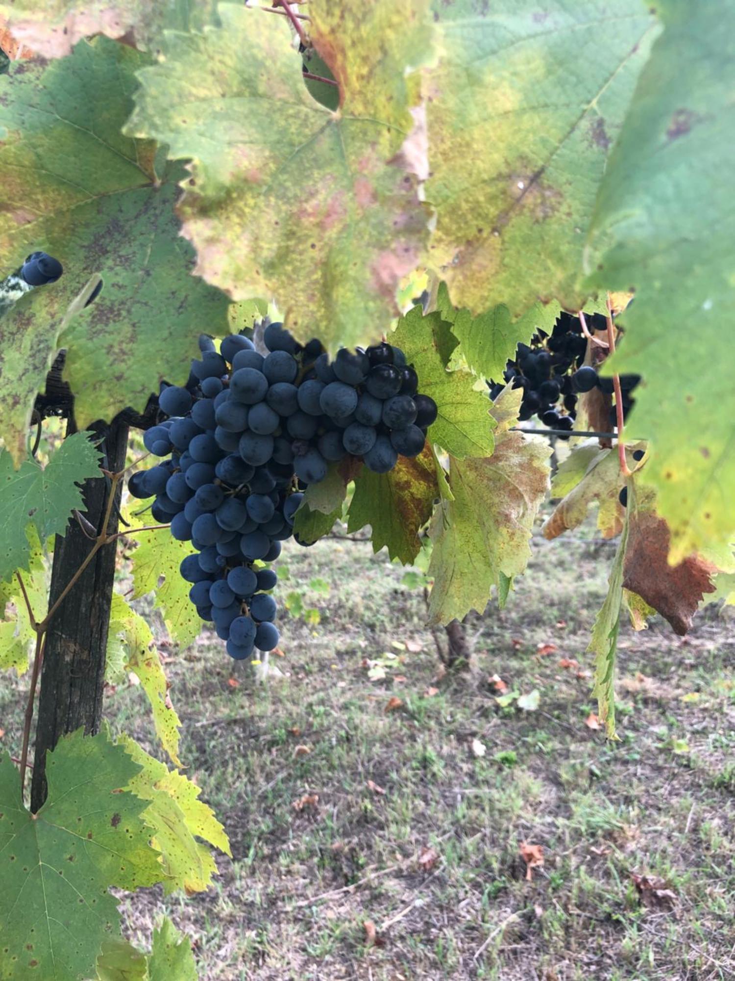 Agriturismo Beata Vanna Fabro Luaran gambar