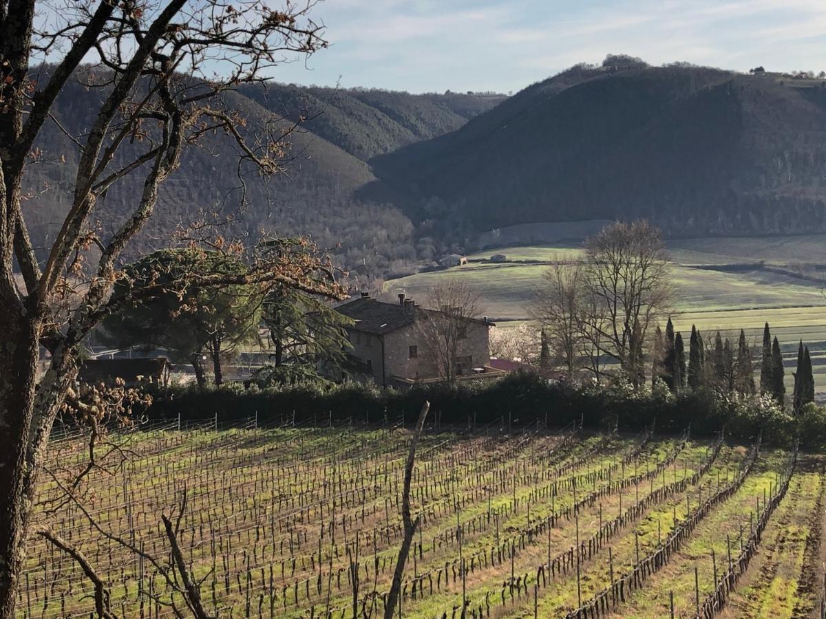 Agriturismo Beata Vanna Fabro Luaran gambar